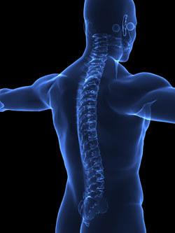 I am a #Chiropractor at Campbell Chiropractic Health Centre in Kanata, Ontario.
I am a graduate of Acadia University and NYCC.