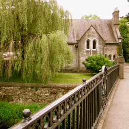 Department of Sociology and Criminology, School of Society, Politics and Ethics, University College Cork, Ireland