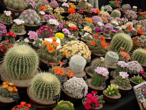 EricHill164's profile picture. Briefly I am male, married with two married adult children  and  I live in Glenageary Co Dublin, that should be fewer than 160 characters !