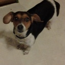 jon carpenter - @bigjonstud81 - Twitter