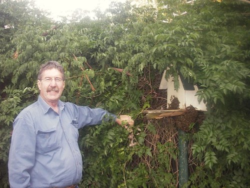 1Beeman's profile picture. Working with Bees has changed my life. I would encourage anyone to learn and discover the mystery of Bees.If you want Honey Contact Me