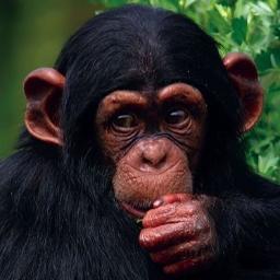 Monkey Pipeline, LLC is your connection to people and entertainment in Oklahoma.