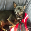 garrett cole - @garrett21025977 - Twitter