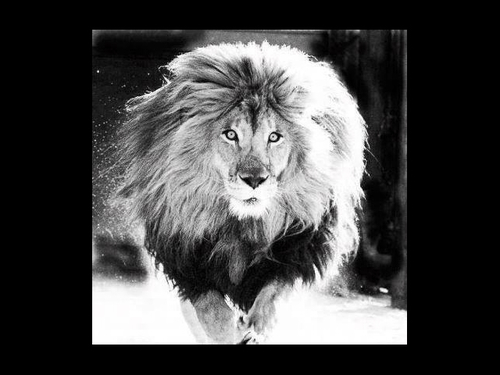 XxxsandixxX's profile picture. Ashes to ashes, Dust to dust, We won't live forever, SO PARTY WE MUST!!!!