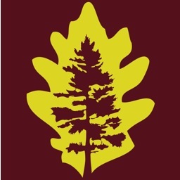 TreepleLtd's profile picture. Treeple is a small, professional team based in County Down providing a specialist tree surgery and garden maintenance service.