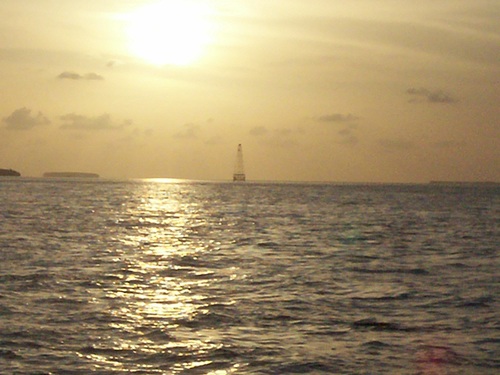 HomewatchSWFL's profile picture. 