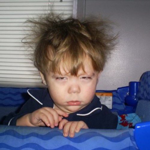 Morningprobs's profile picture. 