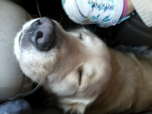 billnbriweber's profile picture. xango indpendent Distriburor