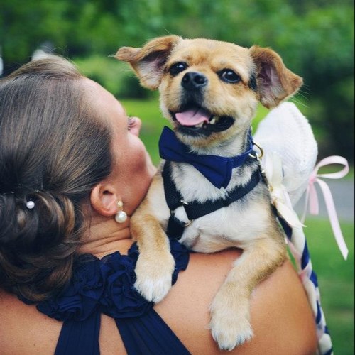 student support coordinator, educator, Ennegram Type 2, dog lover, and midwesterner