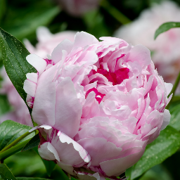 RaquelsVignetts's profile picture. Glamour photography for the every day Woman serving New England.