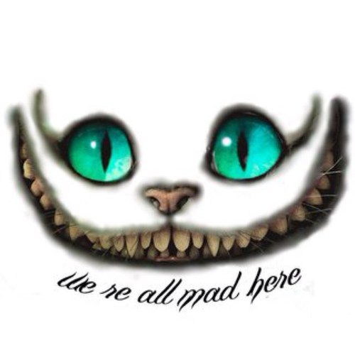 alexHeik's profile picture. 