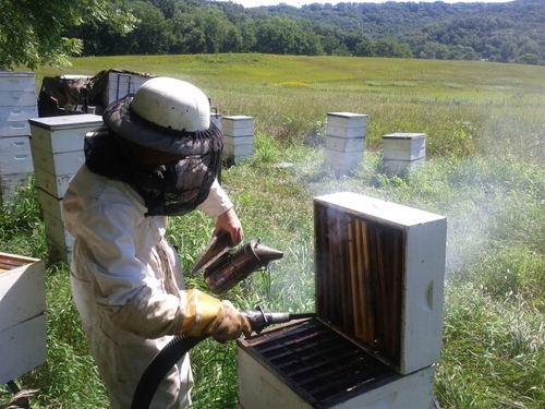 Cycli_Gil's profile picture. The Great Gilreath     Trust Your Heart's Experience       Master Your Breath    Cyclical