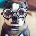 Michael Militello - @MikeOnTheLights - Twitter