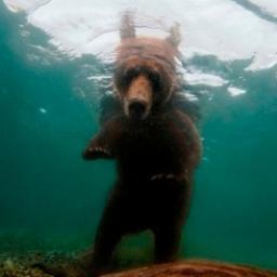 MeDicenQueNo's profile picture. Amo los deportes, Si te sigo sientete grande Followme