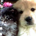 selena james - @selenajames15 - Twitter