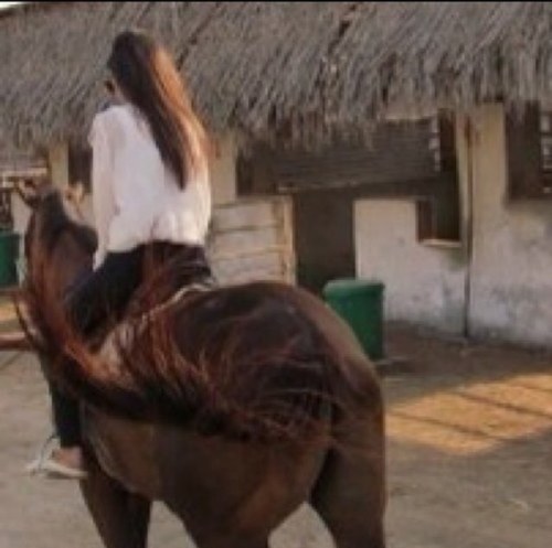 nona_948's profile picture. 