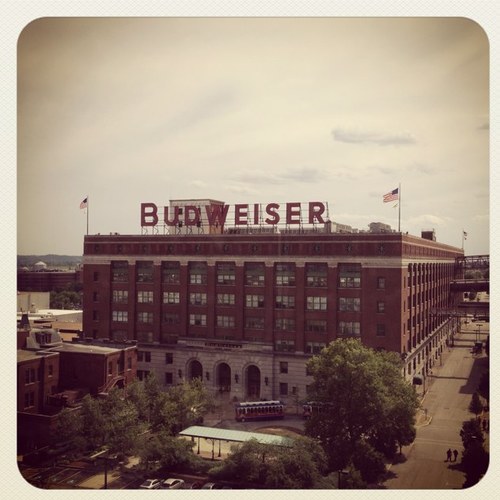 zachariasm43's profile picture. 