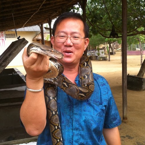 Male, Malaysian.