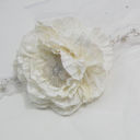 Dina Ross - @dinaross_com - Twitter