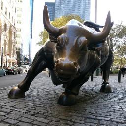 Working along side small investment banking firms to provide private marketing solutions for junior companies listed on the TSX.V and NYSE