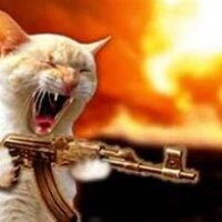 Fat Cat Firearms (@fatcat_firearms) 's Twitter Profile