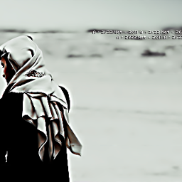 majedmasod's profile picture. 