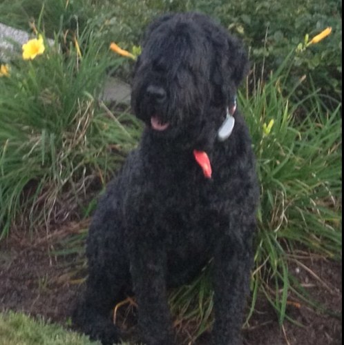 sps63's profile picture. 