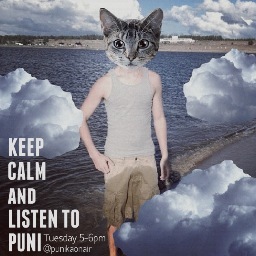 punikaonair's profile picture. Official Twitter Page: Keep Calm and Listen to Puni radio show on WERW of Syracuse University! ❤
TUESDAY 5-6PM
GO TO: iTunes, Radio, College/Uni Radio, WERW