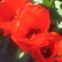 Aj Ashley - @AQuietGrrrlRiot - Twitter