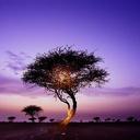 Lee Seng Yee - @leesengyee - Twitter