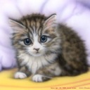 ヒロ0000 (@000066778109) Twitter