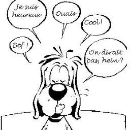 MarechalYves's profile picture. 