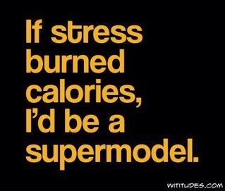 StephCosser's profile picture. its better to be absolutely ridiculous than absolutely boring