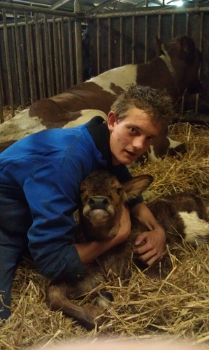 boer in hart en nieren // at ut net ken sa at ut mut, naja dan maar net