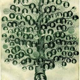Follow us to get the latest news about Genealogy
