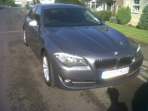 hallyowl's profile picture. 