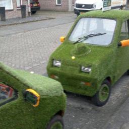 dir/eigenaar: kunstgras service nederland.