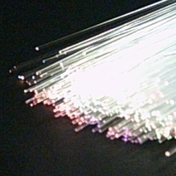 FibrePark's profile picture. 