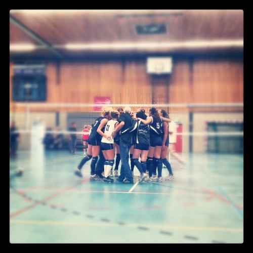 Damesvolleybal team. We komen uit in de 2e divisie en hopen dit jaar te kunnen afsluiten met een kampioensfeest!