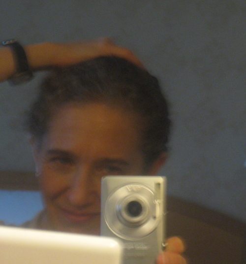 writing & reporting on environment & science, author Chasing Molecules, High Tech Trash, Watershed &c, member SEJ, IRE, NASW