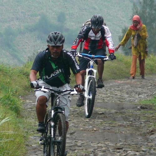 FadliFdfadli's profile picture. 