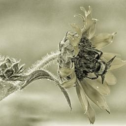 mraksar1's profile picture. I LOVE MY TWIN @SummerNoelle__ [: ....................... Mention For A Follow Back.! FMOI @ Brandiii_ _ _ Add me on kik @ BoyThatsBrandi