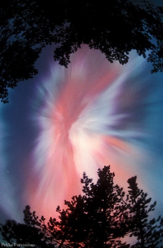 Amoenitas_'s profile picture. 상식이 통하는 사람을 바랍니다