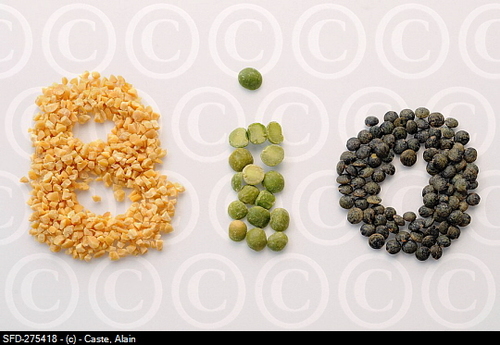 ecoFamilias's profile picture. 