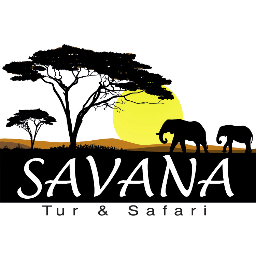 Savana Tur & Safari, Safari meraklılarına unutulmaz anlar sunar. https://t.co/YaMD6iAjI1 - TM of Simba Turizm (TURSAB A-11395)