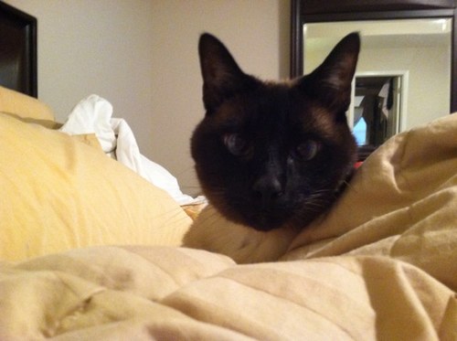 skinnersmom's profile picture. 