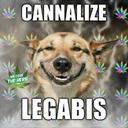 Duke Harvey Mills - @DukeHarveyMills - Twitter