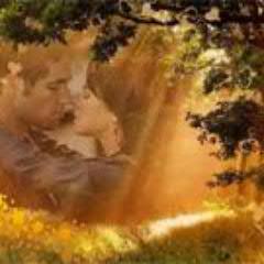 nolsnoltokk's profile picture. 