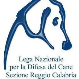 LegadelcaneRC's profile picture. SEZIONE DI REGGIO CALABRIA CHE SI OCCUPA SENZA SCOPO DI LUCRO DI SALVARE I CANI IN DIFFICOLTA',STIAMO COSTRUENDO UNA NUOVA STRUTTURA MA SIAMO SENZA FONDI,AIUTO!