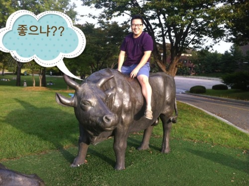 dogbat's profile picture. 